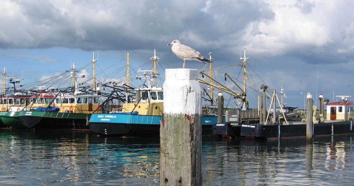 Vakantiewoning Aan Jachthaven Zeeland, Vp012 Vakantiehuis *